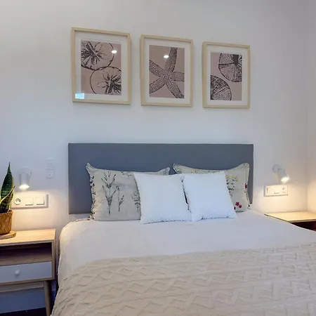 Clauhomes Lamora Loft Apartment